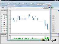 Bet Angel Charting